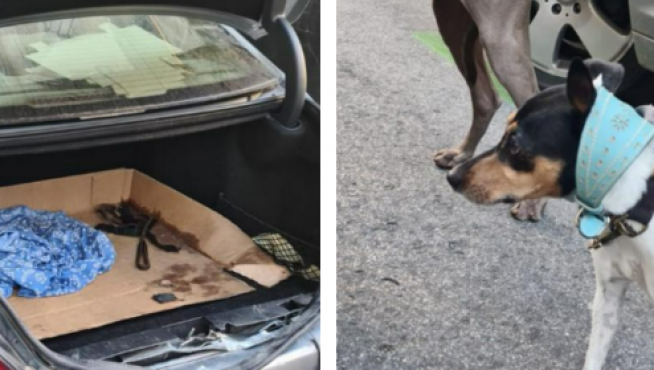 Rescate de tres canes que estuvieron durante tres horas encerrados en el maletero de un turismo.