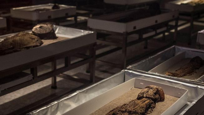 Las momias Chinchorro, tesoro arqueológico de Chile patrimonio de la Humanidad