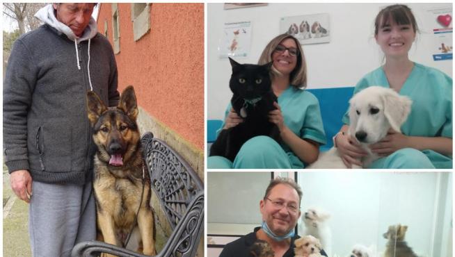 Clínicas veterinarias, tiendas y entrenadores de mascotas, ante la futura ley de protección animal.