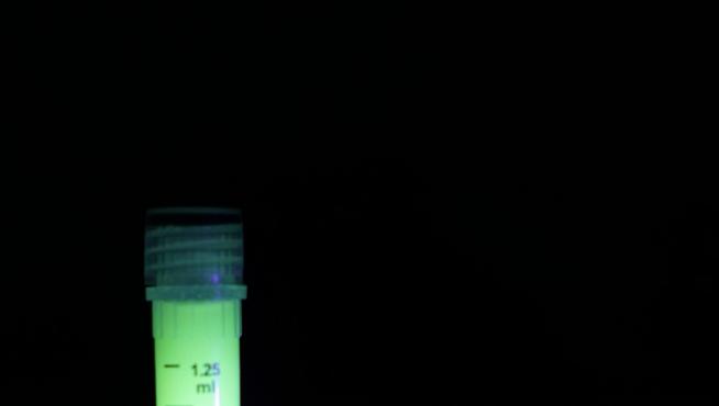 Gel hidroalcohólico luminiscente.