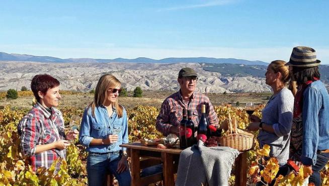 Actividad enoturística en la ruta del vino de Calatayud.