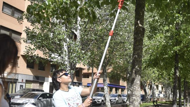 Técnicos especialistas de la empresa Hidrobiology colocan unidades de suelta de larvas de mariquita para luchar contra el pulgón en Huesca.