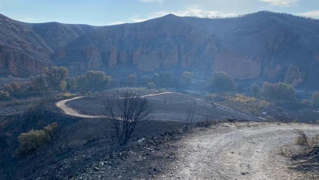 Los vecinos pudieron volver este jueves al municipio de Moros, uno de los más afectados por el incendio en Ateca, donde los campos han quedado arrasados por el fuego.
