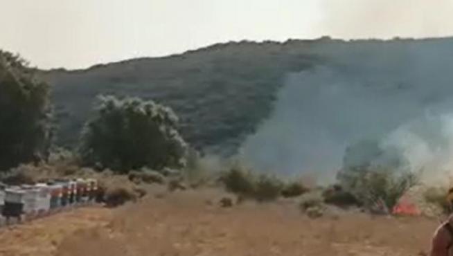 Imagen de un vídeo grabado en el entorno del Moncayo con el incendio aún descontrolado.
