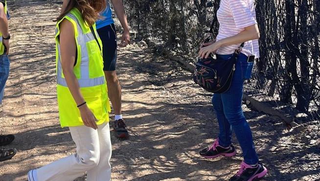 Técnicos de la DPZ valorando los daños que produjo el incendio del Moncayo, ayer.