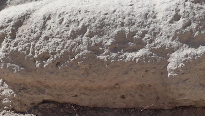 Detalle del relieve fálico hallado en el yacimiento del Higuerón de Nueva Carteya.