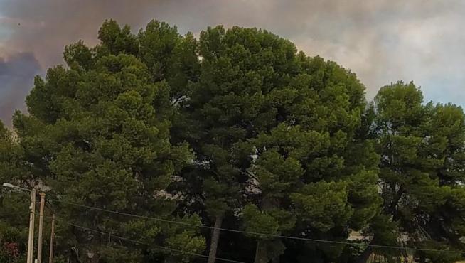 Incendio en Villafranca de Ebro