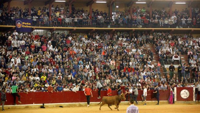 Vaquillas en las Fiestas del Pilar de 2019 en Zaragoza.