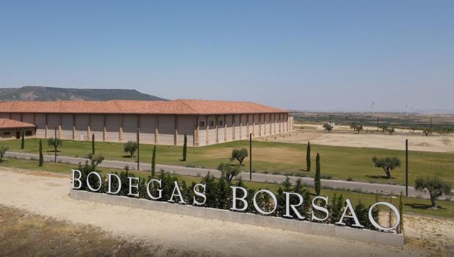 La sede de Bodegas Borsao tiene una superficie de 16.480 metros cuadrados en una parcela de 132.548.