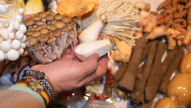 Amplia variedad de setas de cultivo de Frutas Mené.