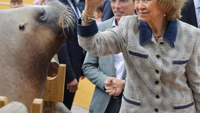 La reina Sofía acaricia a un león marino durante su visita al Zoo Aquarium de la capital