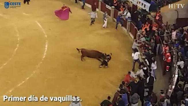 Revolcones y buen ambiente en el primer día de vaquillas
