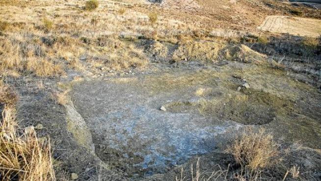 Hallan restos de un dinosaurio de hace 120 millones de años en Berdejo