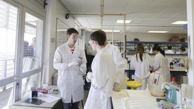 Algunos estudiantes en los laboratorios de la Universidad de Zaragoza