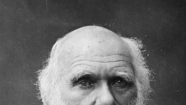 El biólogo Charles Darwin