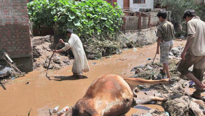 Agua estancada al norte de la India