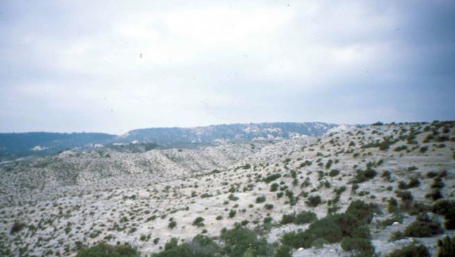 Estepa, al sur de Torrero