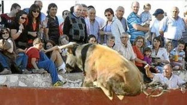 El toro apoyó las patas traseras en la barrera, de unos dos metros de altura, para saltar y se abalanzó contra los vecinos que se encontraban en el graderío bajo