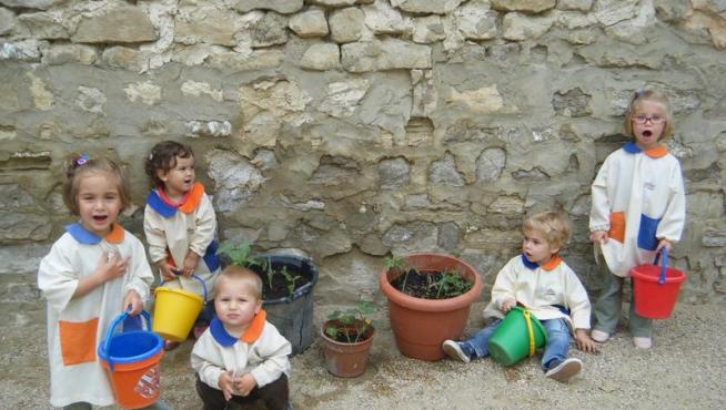 Alumnos de Alcubierre cultivan sus plantas