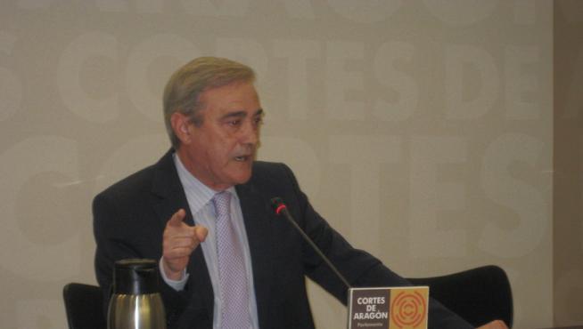 El portavoz socialista, Javier Sada
