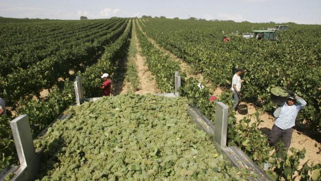 Aragón exportó en 2012 más de 18 millones en vino y otras bebidas a EE. UU.