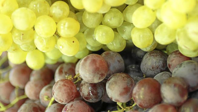 Las uvas de mesa de variedades tintas y blancas se pueden ver estos días en los mercados y fruterías