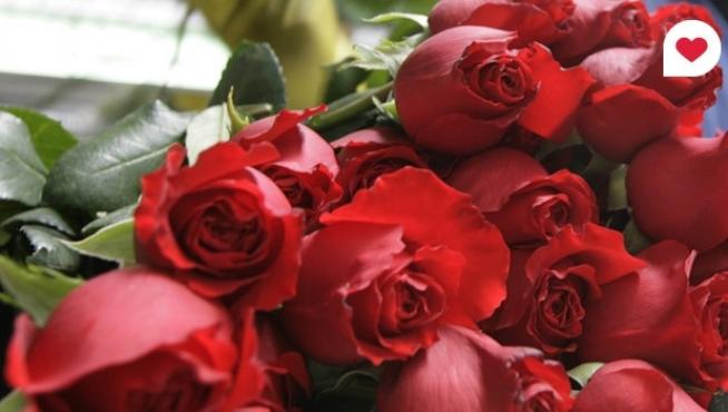 Las flores de San Valentín que más se compran en Aragón