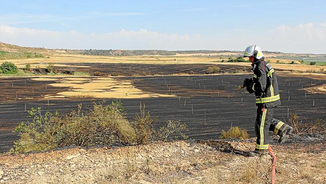 Un bombero refresca los campos ya quemados.