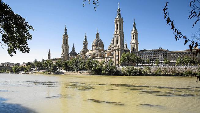 Algunas algas en el Ebro son visibles estos días a la altura de la arboleda de Macanaz.