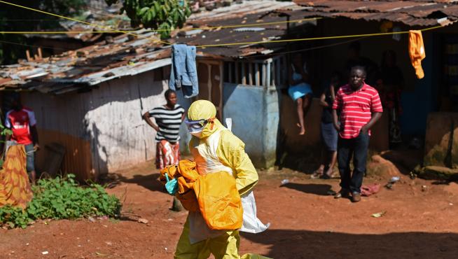 Un murciélago, posible desencadenante de la epidemia del ébola en África