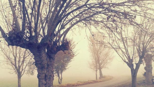 Así embellece la niebla el paisaje en estas localidades leridanas
