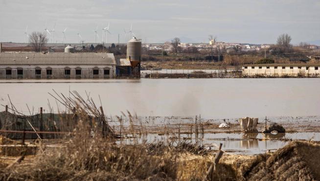 Terrenos anegados por el Ebro este domingo