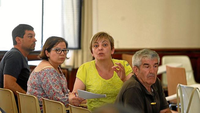 Pilar Novales, portavoz de Cambiar Huesca, durante una intervención en la asamblea de ayer