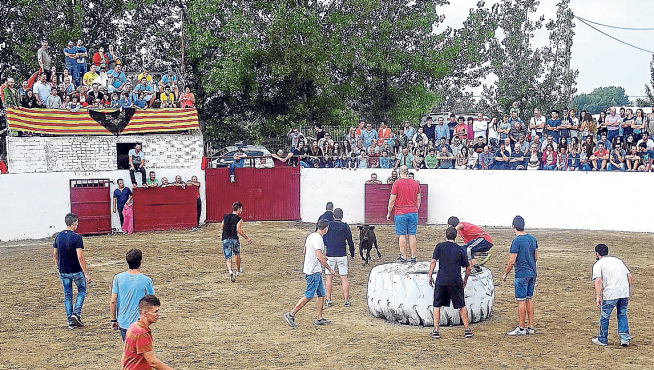 Foto de Plaza de Toros de Altorricón en Altorricón, Huesca