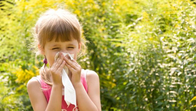 Las alergias a los alimentos, las anafilaxias, la dermatitis atópica y el asma alérgico se presentan con mayor frecuencia en la población infantil.