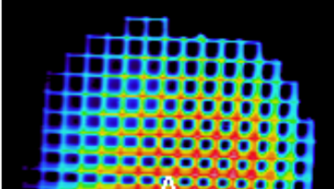 Imagen termográfica de un monolito de catalizador calentado por microondas.