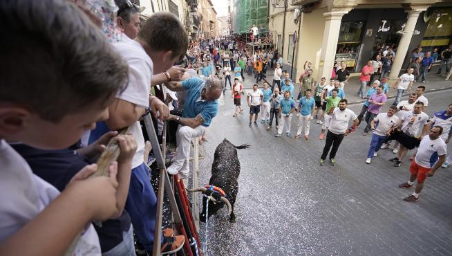 Un toro ensogado al estilo valenciano, al inicio de la calle de Yagüe de Salas.