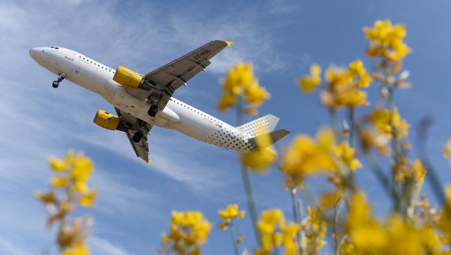 Un avión de la compañía Vueling.