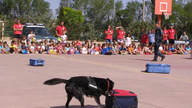 A los niños les ha entusiasmado la actuación de los perros del servicio cinológico.