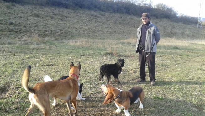 Perros truferos: en busca del oro negro de Aragón - Noticias de en ...