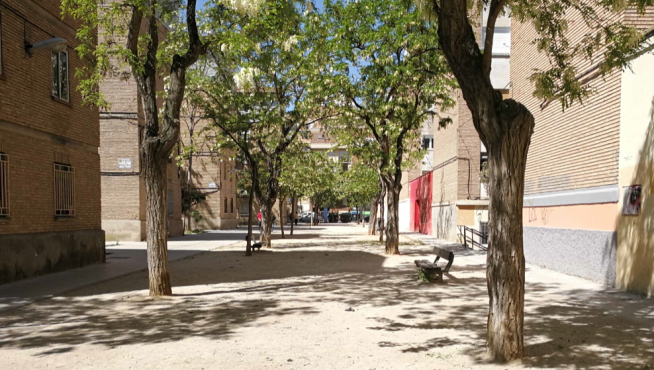 Excrementos en la zona entre los pabellones del Tío Jorge, en frente de la plaza de la Memoria Histórica.