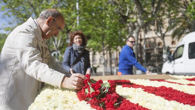 Cada año, por el Día de San Jorge, se compone con claveles la bandera de Aragón