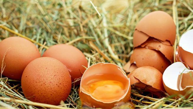 Se trata de 50 kilos de huevos en polvo contaminados con fipronil.