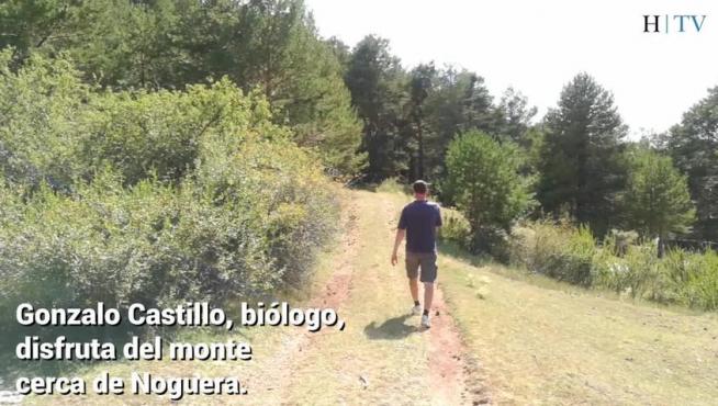 Un biólogo feliz en el reino dorado de los perrechicos