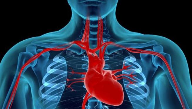 Una insuficiencia cardiaca se puede diagnosticar ya sin necesidad de ir al cardiólogo