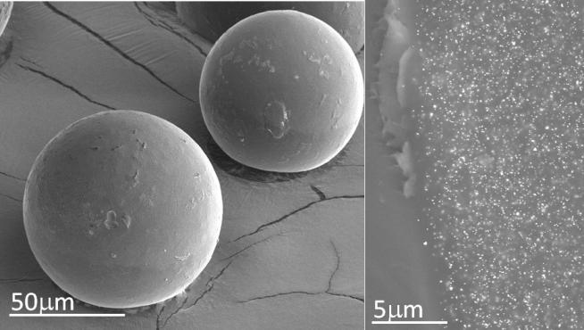 Vista de una de las microcápsulas de resina en la que se encuentran protegidas las nanopartículas de oro (que se ven como puntos brillantes en la ampliación de la foto derecha).