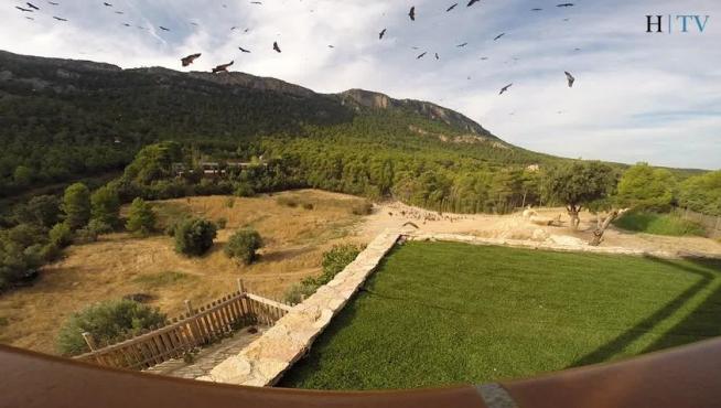 Valderrobres: Con las alas desplegadas a la hora del rancho