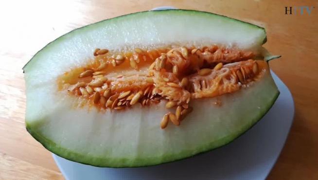 Torres de Berrellén: el melón más dulce, el verdadero