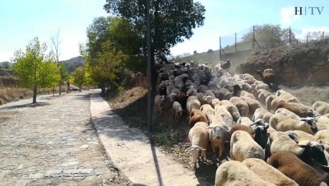 Alloza: Las esculturas que si dejan ver el bosque