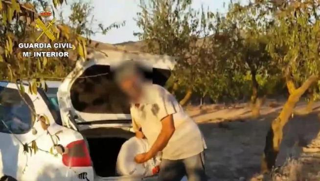 Siete detenidos por robo y receptación de almendras en La Rioja y Aragón